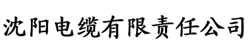 久久久久亚洲av成人人电影电缆厂logo